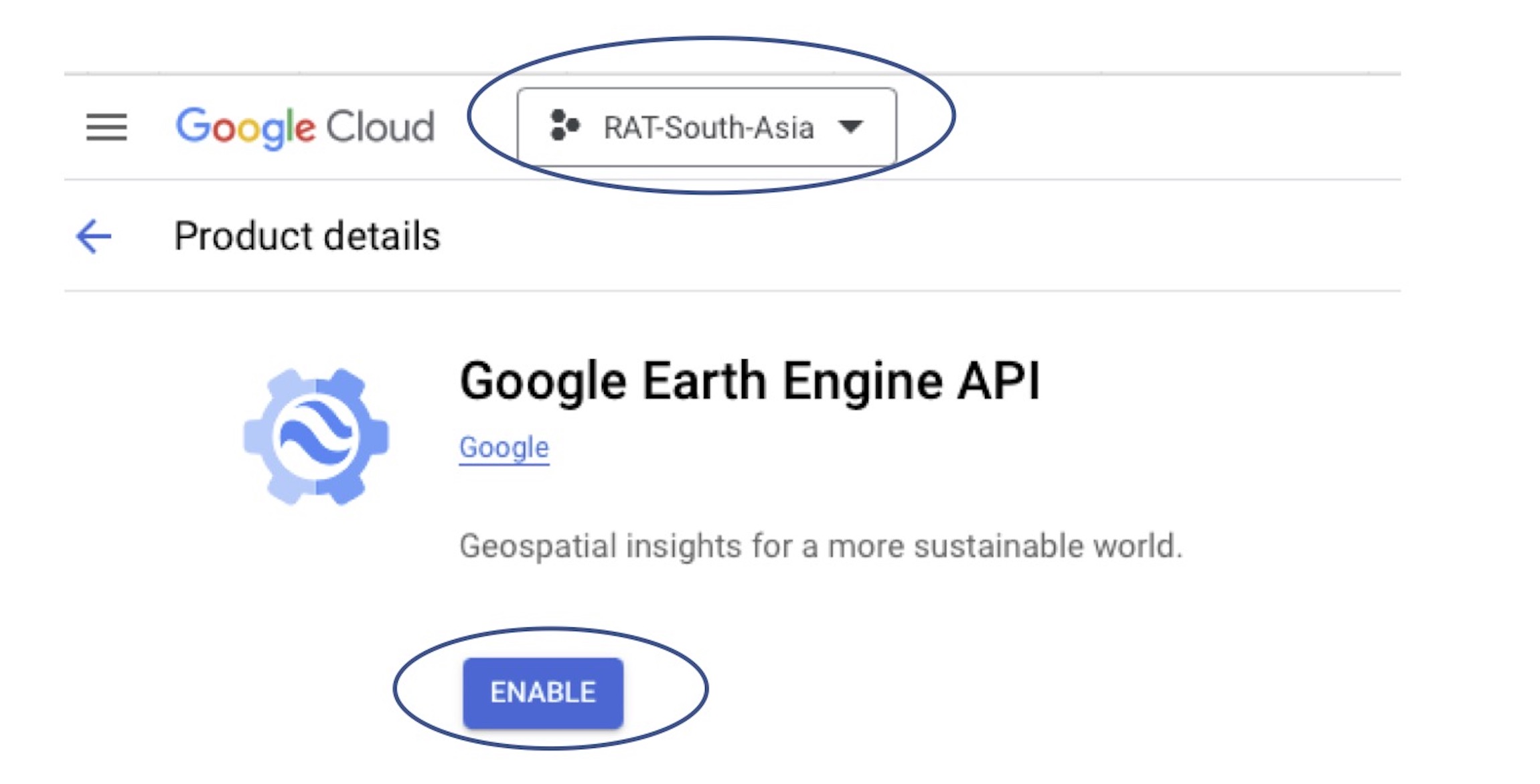 Enabling EE API page screenshot